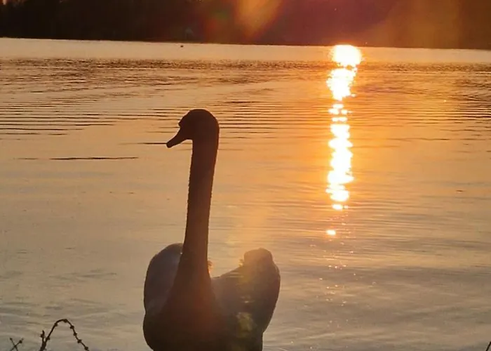 Seeblick Hausboot Sambesi Tekne Königs Wusterhausen